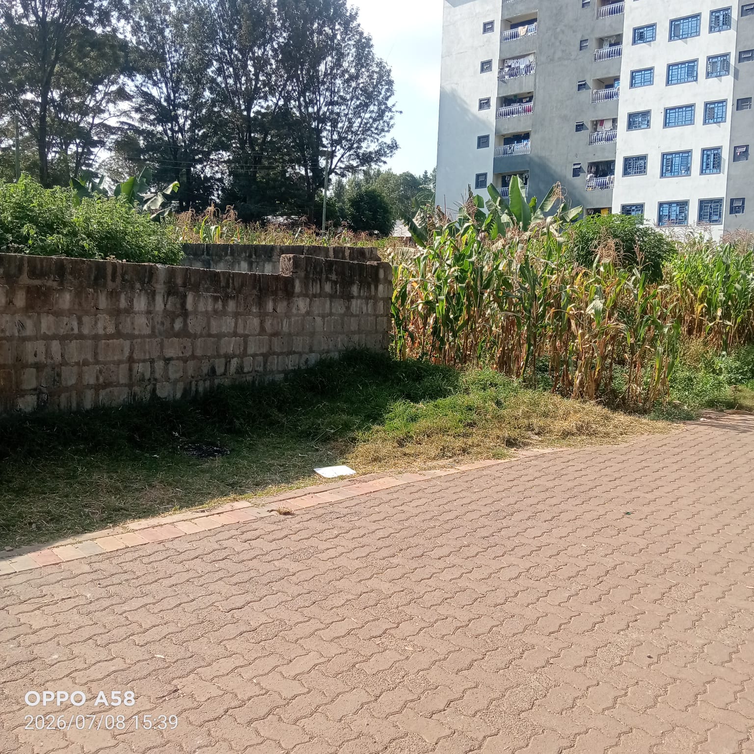 Ruaka Leasehold Development view 3