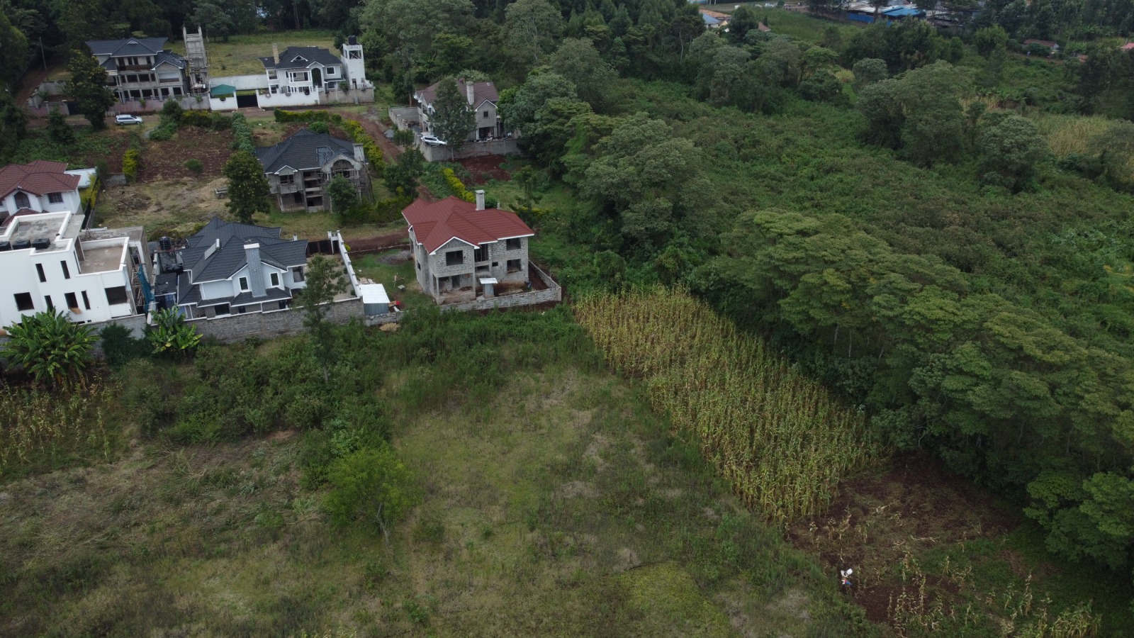 New Blue Valley Estate Plot view 4