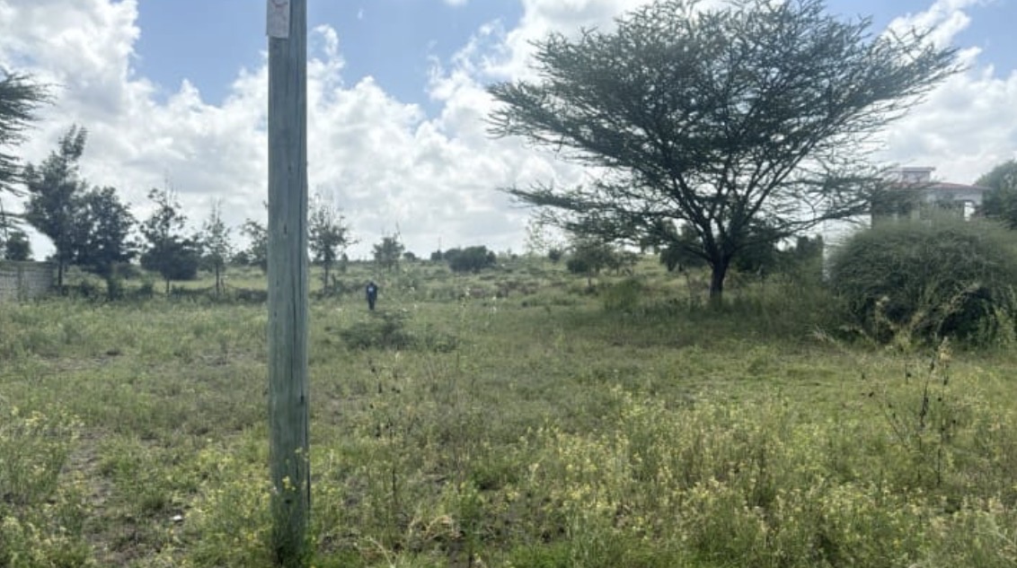 Kitengela residential plot — on-site view 3