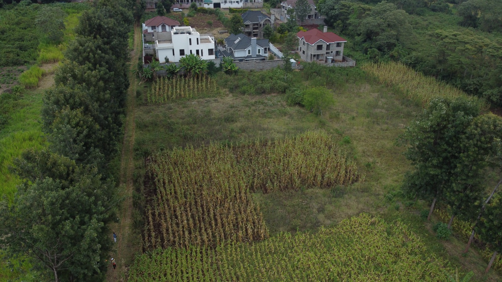 New Blue Valley Estate Plot view 2