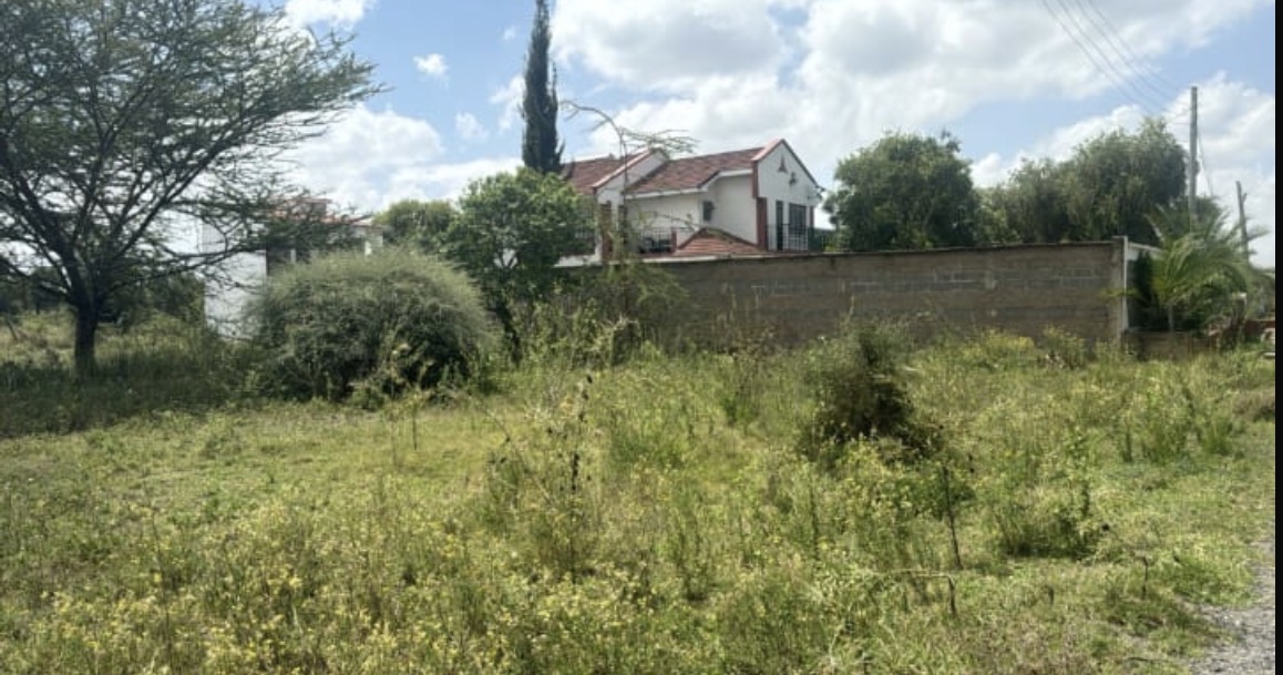Dalex Gardens quarter-acre plot — on-site view 4