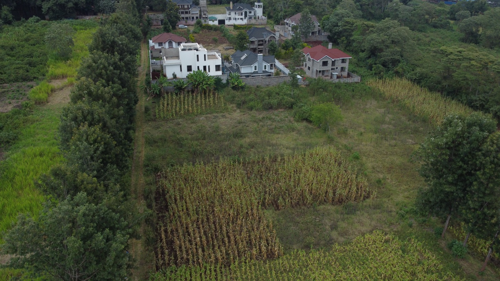New Blue Valley Estate Plot view 3