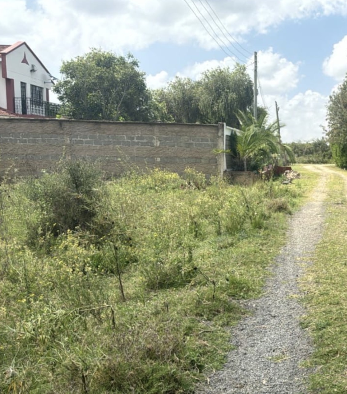 ¼-Acre — Dalex Gardens